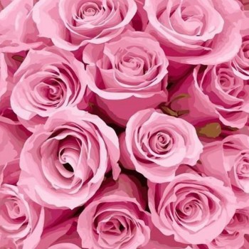 Trandafiri Roz